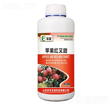 �O���t����-�䳲-���r����