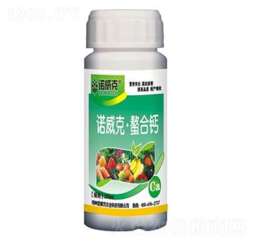 �Z���ˡ������}-�Z����