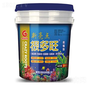 ������-��ï����