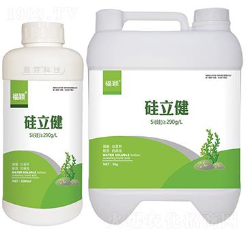 ������-��������