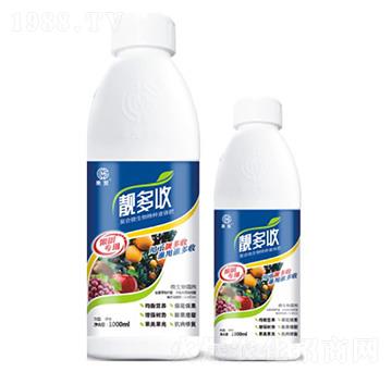 �n���ա�����(sh��)��(zhu��n)�á�-��ï����