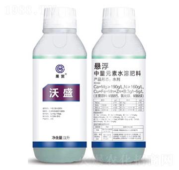 ��ʢ-�Ҹ�����Ԫ��ˮ�ܷ���-��ï����