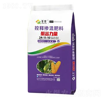 ���׌��ÿ�ጓ������24-11-10-�۹�����-ǧ�S�r�I(y��)