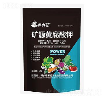 �VԴ�S�����-������-���r��