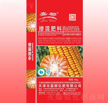 ���ЙC���������-�ζ�