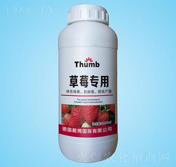 ��ݮ��(zhu��n)��ˮ�ܷ�-����r(n��ng)�I(y��)