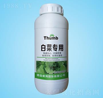 �ײˌ�(zhu��n)��ˮ�ܷ�-����r(n��ng)�I(y��)