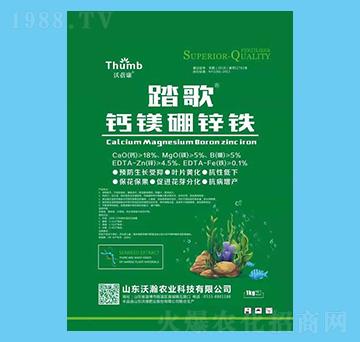 �}�V���\�F-̤��-����r(n��ng)�I(y��)