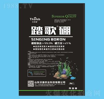 ̤�衤��-������-����r(n��ng)�I(y��)