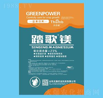 ̤�衤�V-������-����r(n��ng)�I(y��)