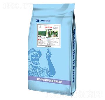 �����S���B(t��i)�����ޏ�(f��)-�A�r(n��ng)���H