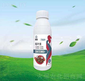 500ml���~��-�f(w��n)����-ʩ����