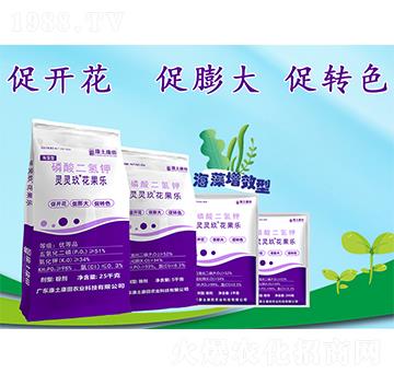 �`�`����������(l��)-��������