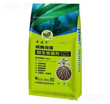 ̼ø����΢�������-�����l(w��i)-�ΰ���