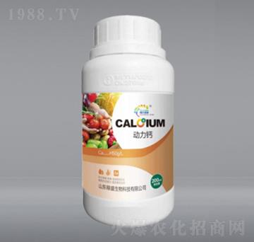 �����}-��ʢ����