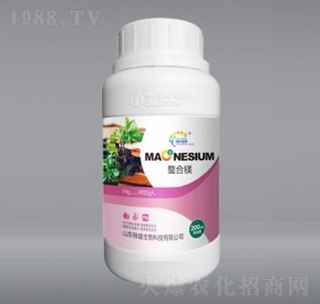 �����V-��ʢ����