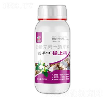 �i����-ܲ�S��-������