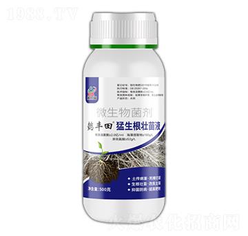 ����������Һ-ܲ�S��-������