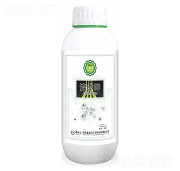 ���w�\-���ژ�-̩����