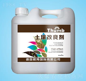 ����������-����r�I(y��)