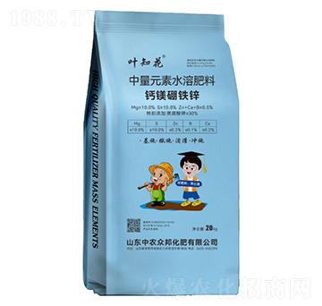 �}�V���F�\��20kg��-�~֪��-���r����