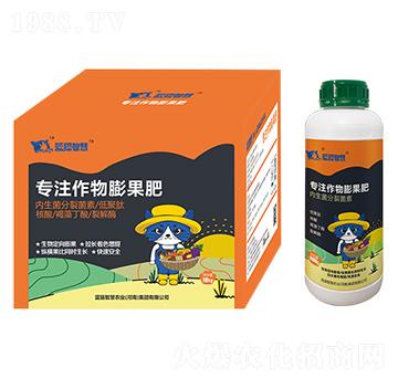 ��(zhu��n)ע���������-�{(l��n)؈�ǻ�