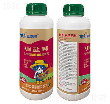 �����ή�}���}�{(di��o)�턩-���}��-�{؈�ǻ�