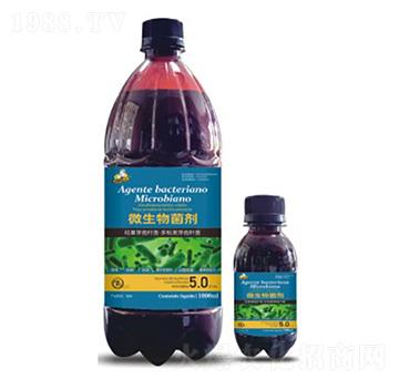 ΢�������-��˹��