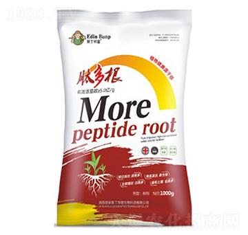 �Ķ��-�۶�����