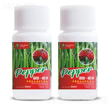 ����һ����-��(��i)������