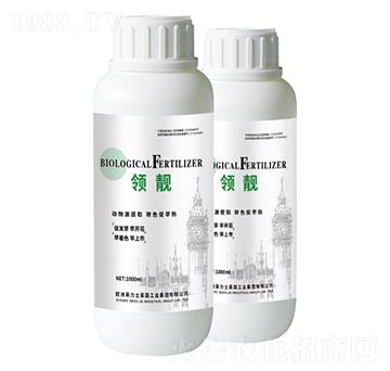 �I(l��ng)�n-����Դ��ȡ���D(zhu��n)ɫ������