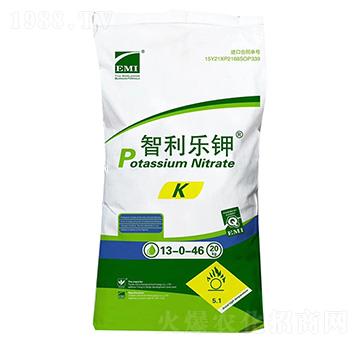 ������(l��)�13-0-46