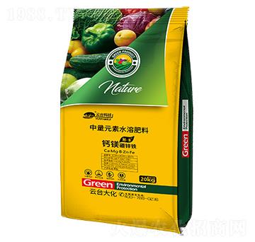 �}�V���\�F20kg-�ɡ��S-���_(t��i)��