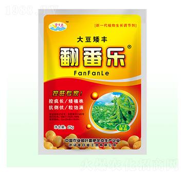 �󶹰��S������-����ʢ-��Դ��ʘI(y��)