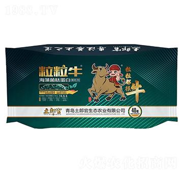 ��������������ĵ���-���ɹ�