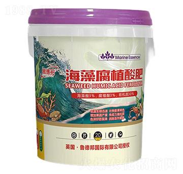 ���帯ֲ���-���°�