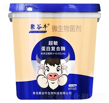 10�|�������׏�(f��)��ø΢�������-�۹�ţ