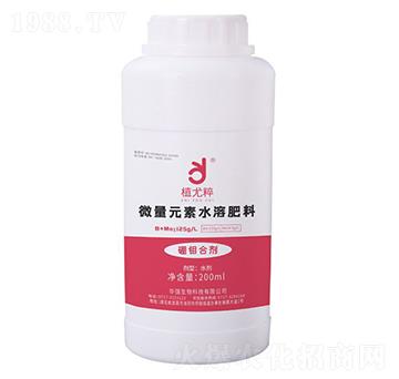 ���f�τ�-ֲ�ȴ�-�A���������F