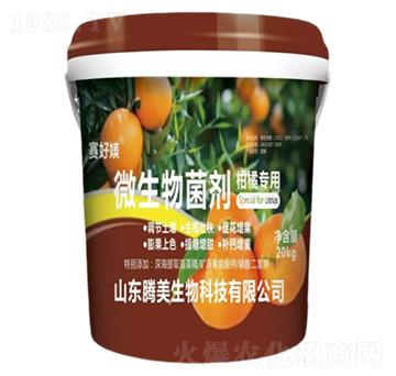 ���ٌ�(zhu��n)��΢�������-�v������