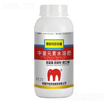 �Ǵ��}�V�\��-����ú