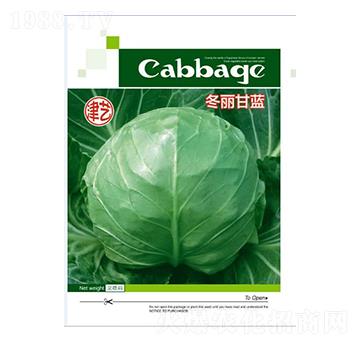 ���{(l��n)�N��-�������{(l��n)-���S�r(n��ng)�I(y��)