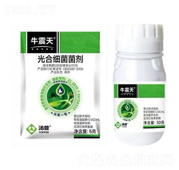 ��ϼ�(x��)������-ţ����-���՘�