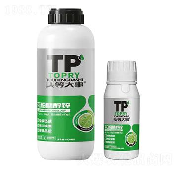 �����Ǵ��\-�^�ȴ���-��������