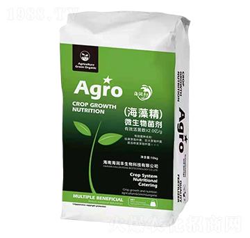 (���徫)΢�������-�����S