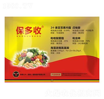 ������-��ţ��(gu��)�H