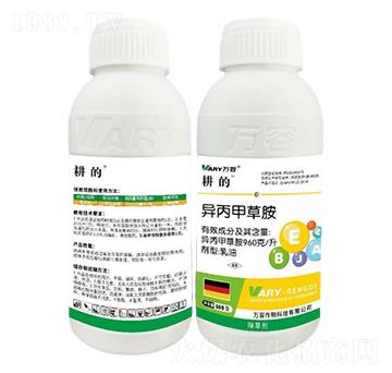 960��/�������ײݰ�-����-�f(w��n)��