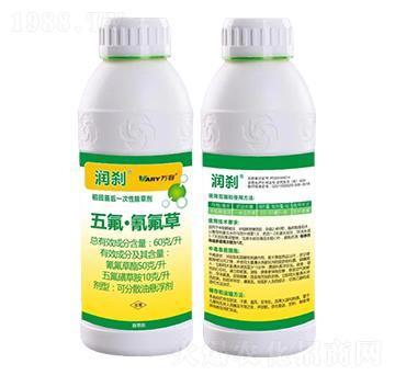 60��/������������-���x-�f��