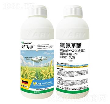 35%�������-���w��-�f��