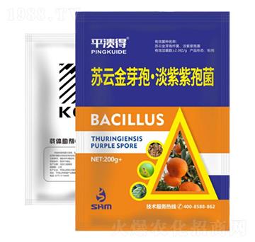 ���ٝ����ײ�2̖(h��o)-���A��