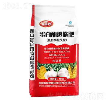 ����ø׷ʩ��-�t̫�